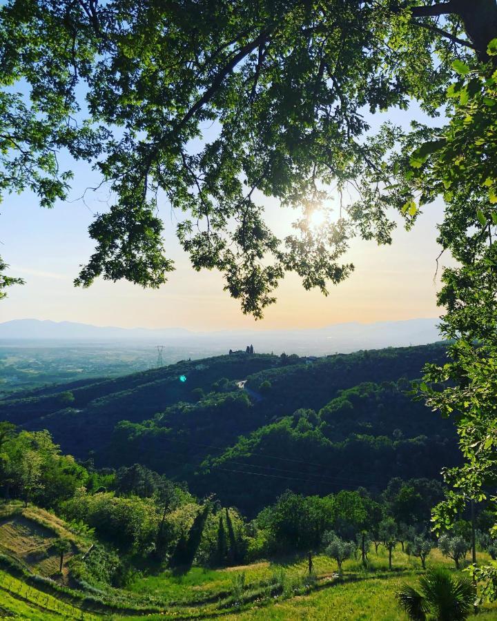 Villa Del Parco In Tuscany San Baronto Exteriér fotografie
